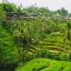 North Bali Instagram Tour: Scenic Highland, Lakes & Jungle Vistas