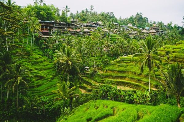 North Bali Instagram Tour: Scenic Highland, Lakes & Jungle Vistas