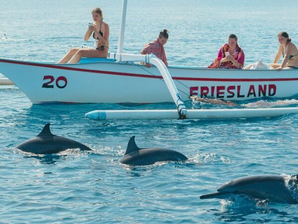 29 North Bali Expedition: See Dolphins, Hot Springs & Wanagiri Hills