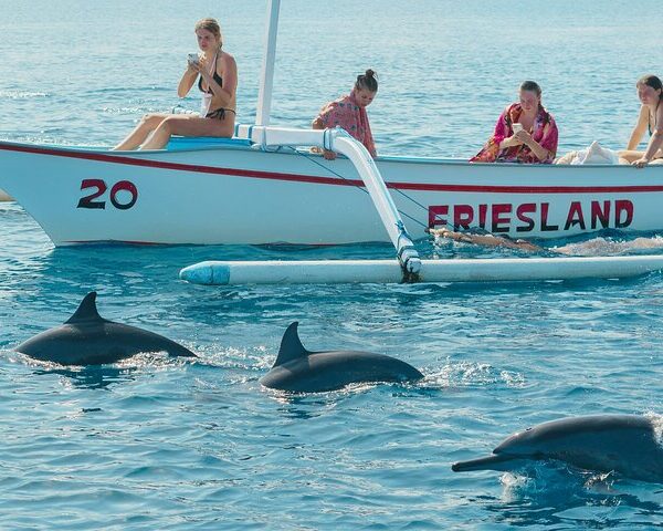 North Bali Expedition: See Dolphins, Hot Springs & Wanagiri Hills