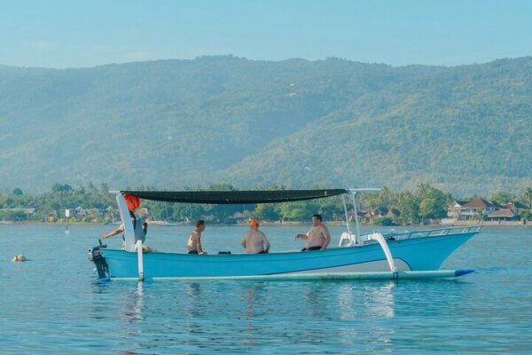 North Bali Expedition: See Dolphins, Hot Springs & Wanagiri Hills