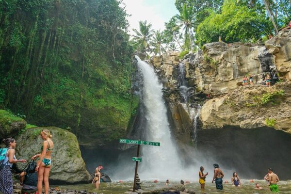 Ubud Waterfall Circuit: 5 Iconic Jungle Falls