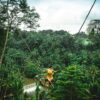 66 Bali Jungle Adventure: Swing Heaven, Monkey Forest & Temple