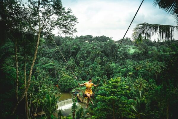 66 Bali Jungle Adventure: Swing Heaven, Monkey Forest & Temple