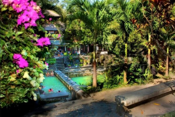 North Bali Expedition: See Dolphins, Hot Springs & Wanagiri Hills