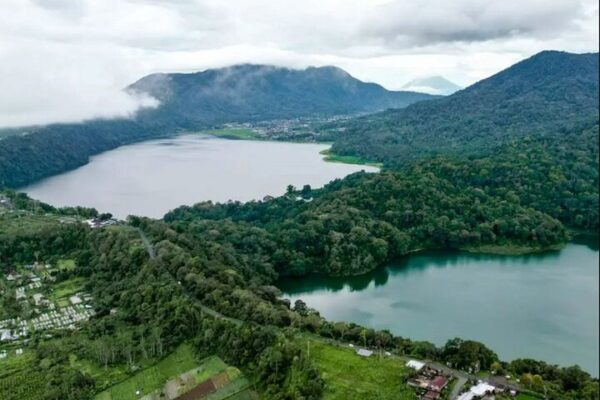 North Bali Expedition: See Dolphins, Hot Springs & Wanagiri Hills