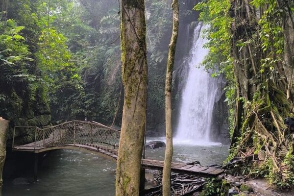 Ubud Waterfall Circuit: 5 Iconic Jungle Falls