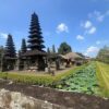 c8 Bali Jungle Adventure: Swing Heaven, Monkey Forest & Temple