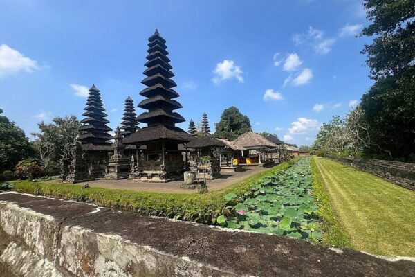 c8 Bali Jungle Adventure: Swing Heaven, Monkey Forest & Temple