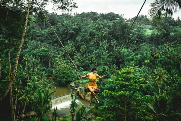 c9 Bali Jungle Adventure: Swing Heaven, Monkey Forest & Temple