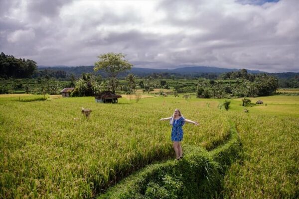 Tanah Lot Temple & Coastal Sunset Tour