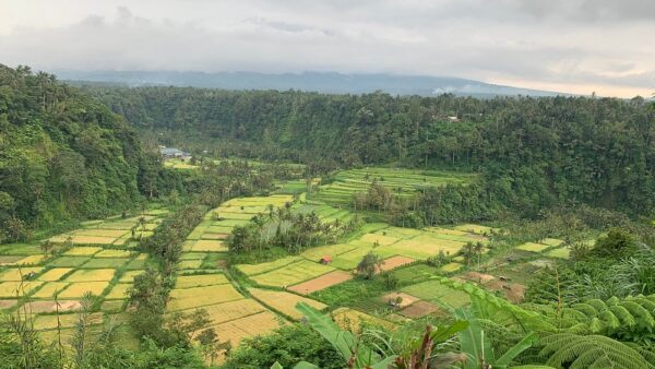 Bali Photo Tour: Gates of Heaven, Rice Terrace, Waterfall & Swing