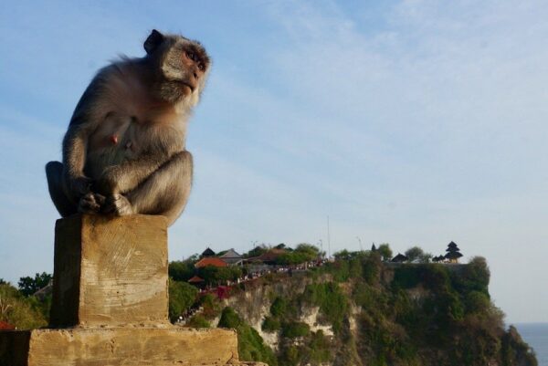 Tanah Lot Temple & Coastal Sunset Tour