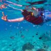 e2 Nusa Penida Snorkeling Adventure: Manta Point & Island Day Trip