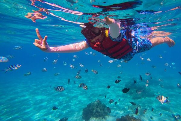 e2 Nusa Penida Snorkeling Adventure: Manta Point & Island Day Trip