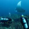e8 Nusa Penida Snorkeling Adventure: Manta Point & Island Day Trip