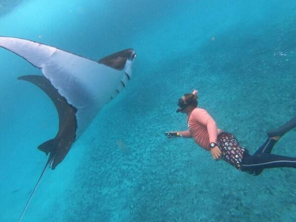 eb Nusa Penida Snorkeling Adventure: Manta Point & Island Day Trip