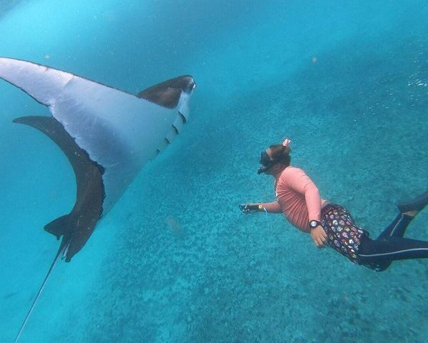 Nusa Penida Snorkeling Adventure: Manta Point & Island Day Trip